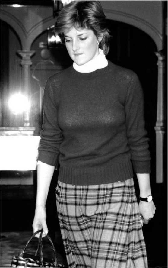 Иллюстрация к книге — Леди Диана. Принцесса людских сердец [i_040.jpg]