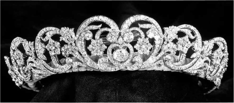 Иллюстрация к книге — Леди Диана. Принцесса людских сердец [i_049.jpg]