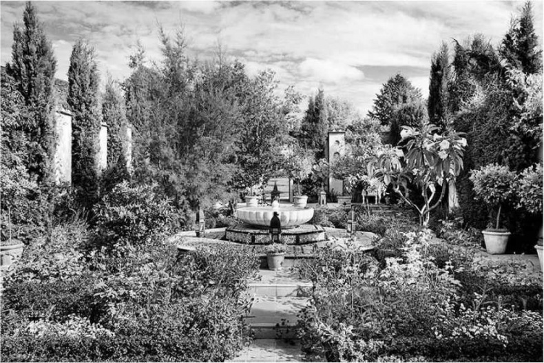 Иллюстрация к книге — Леди Диана. Принцесса людских сердец [i_074.jpg]