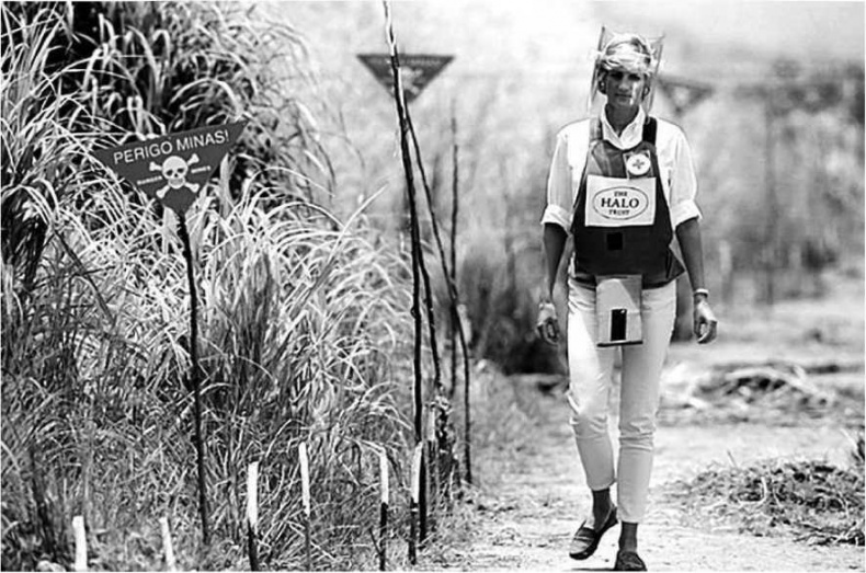 Иллюстрация к книге — Леди Диана. Принцесса людских сердец [i_095.jpg]