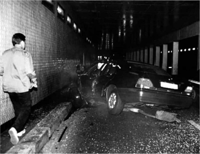 Иллюстрация к книге — Леди Диана. Принцесса людских сердец [i_117.jpg]