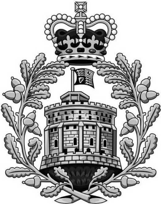 Иллюстрация к книге — Леди Диана. Принцесса людских сердец [i_120.jpg]