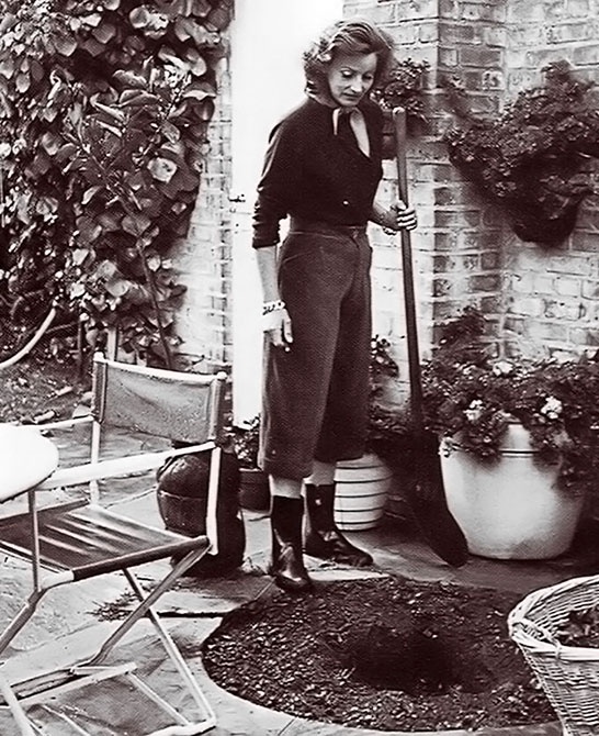 Иллюстрация к книге — Грета Гарбо. Исповедь падшего ангела [i_087.jpg]