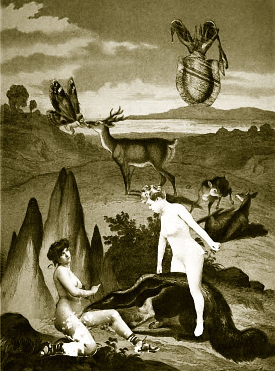 Иллюстрация к книге — Гала. Как сделать гения из Сальвадора Дали [i_024.jpg]