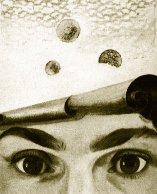 Иллюстрация к книге — Гала. Как сделать гения из Сальвадора Дали [i_049.jpg]