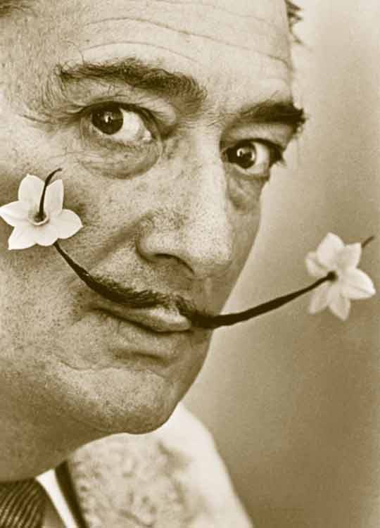 Иллюстрация к книге — Гала. Как сделать гения из Сальвадора Дали [i_133.jpg]