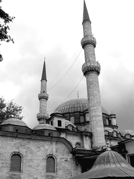 Иллюстрация к книге — Роксолана. Ведьма Османского гарема [i_026.jpg]