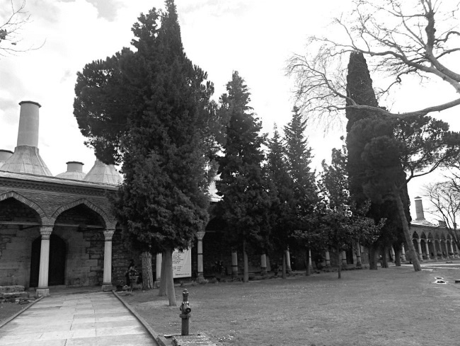 Иллюстрация к книге — Роксолана. Ведьма Османского гарема [i_051.jpg]