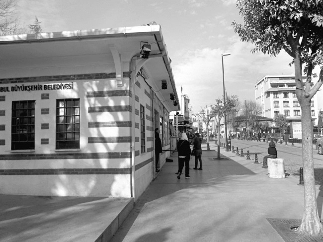 Иллюстрация к книге — Роксолана. Ведьма Османского гарема [i_067.jpg]