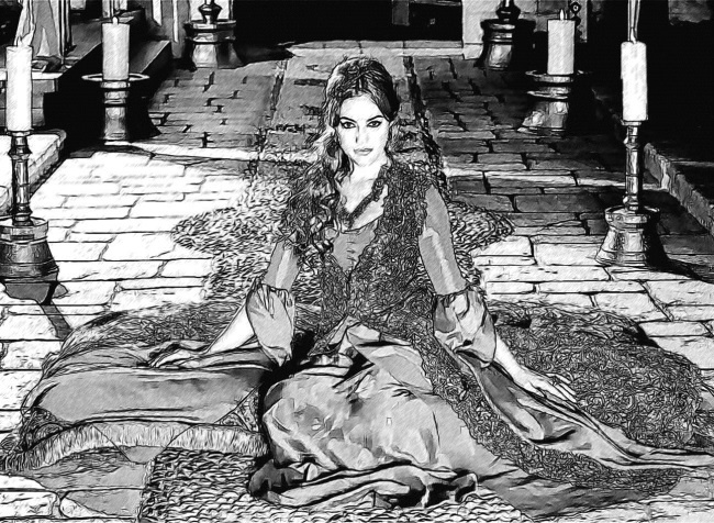 Иллюстрация к книге — Роксолана. Ведьма Османского гарема [i_102.jpg]