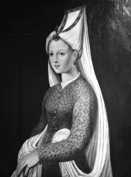 Иллюстрация к книге — Роксолана. Ведьма Османского гарема [i_109.jpg]