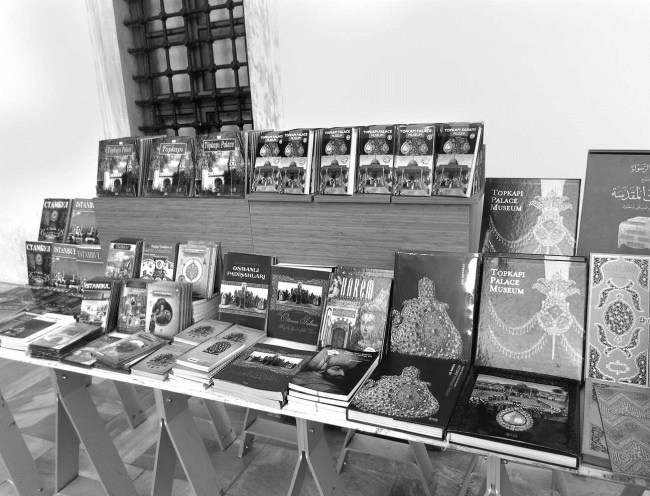 Иллюстрация к книге — Роксолана. Ведьма Османского гарема [i_121.jpg]