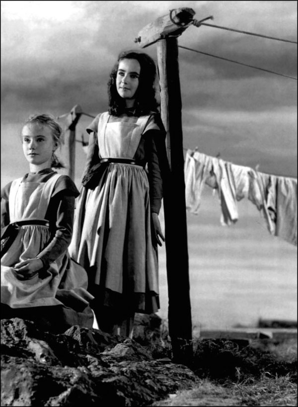 Иллюстрация к книге — Элизабет Тейлор. Клеопатра Голливуда [_037.jpg]