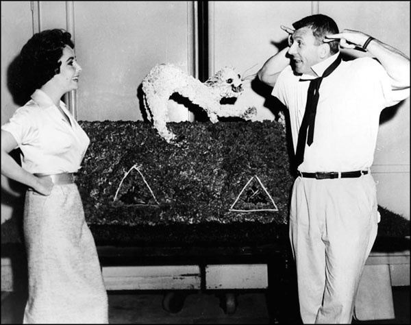 Иллюстрация к книге — Элизабет Тейлор. Клеопатра Голливуда [_203.jpg]