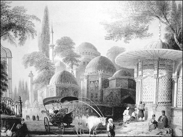 Иллюстрация к книге — Мерьем Узерли. Актрисы "Великолепного века" [_227.jpg]