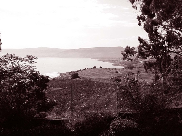 Иллюстрация к книге — Мария Магдалина. Тайная супруга Иисуса Христа [i_088.jpg]