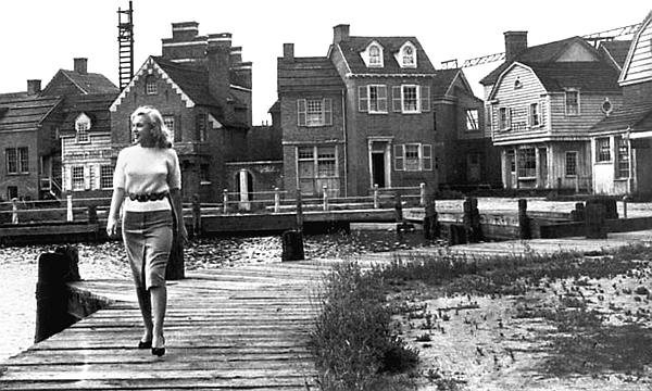 Иллюстрация к книге — Мэрилин Монро. Жизнь в мире мужчин [i_027.jpg]