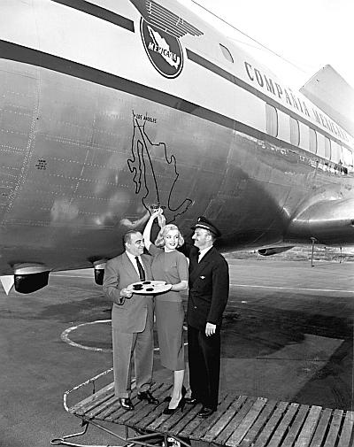 Иллюстрация к книге — Мэрилин Монро. Жизнь в мире мужчин [i_106.jpg]