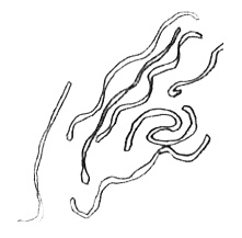 Иллюстрация к книге — Привет! Это я... [i_071.jpg]