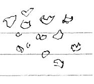 Иллюстрация к книге — Привет! Это я... [i_229.jpg]