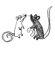 Иллюстрация к книге — Привет! Это я... [i_328.jpg]