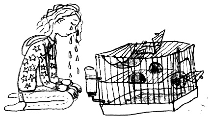 Иллюстрация к книге — Привет! Это я... [i_331.jpg]