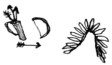 Иллюстрация к книге — Привет! Это я... [i_348.jpg]