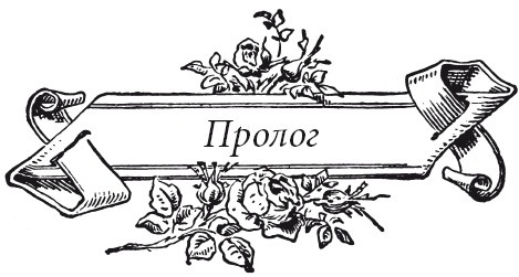 Иллюстрация к книге — Венецианский контракт [i_004.jpg]