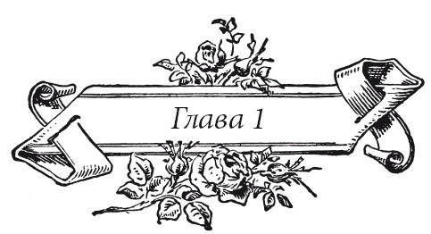 Иллюстрация к книге — Венецианский контракт [i_005.jpg]