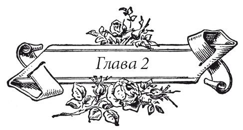 Иллюстрация к книге — Венецианский контракт [i_006.jpg]