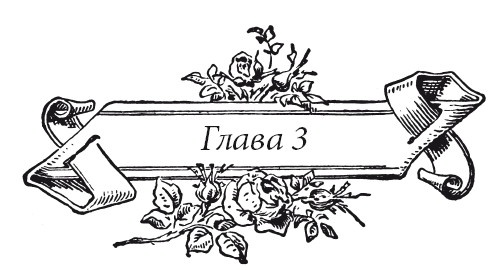 Иллюстрация к книге — Венецианский контракт [i_007.jpg]