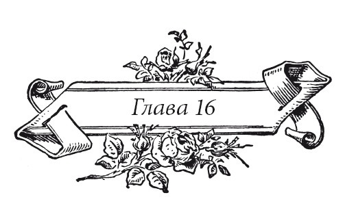 Иллюстрация к книге — Венецианский контракт [i_022.jpg]