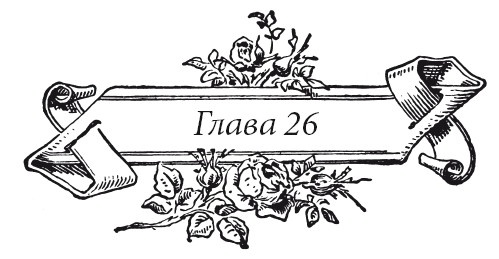 Иллюстрация к книге — Венецианский контракт [i_032.jpg]