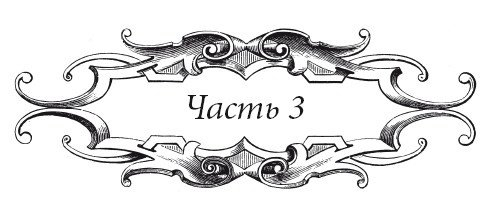 Иллюстрация к книге — Венецианский контракт [i_033.jpg]