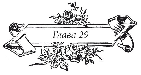 Иллюстрация к книге — Венецианский контракт [i_037.jpg]