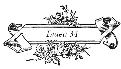 Иллюстрация к книге — Венецианский контракт [i_042.jpg]