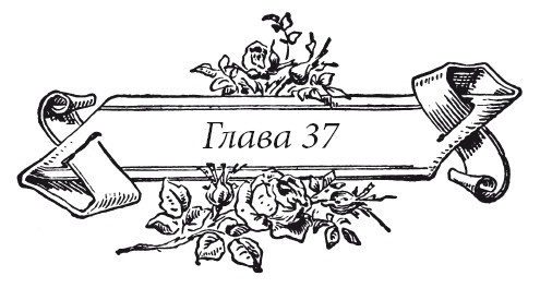 Иллюстрация к книге — Венецианский контракт [i_047.jpg]