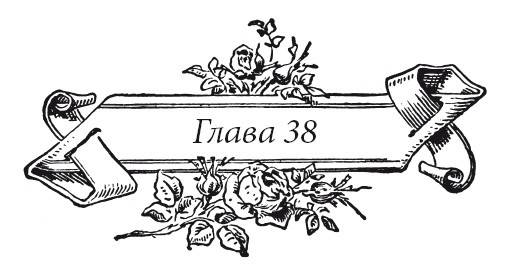 Иллюстрация к книге — Венецианский контракт [i_048.jpg]