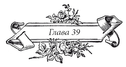 Иллюстрация к книге — Венецианский контракт [i_049.jpg]