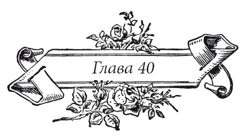 Иллюстрация к книге — Венецианский контракт [i_050.jpg]