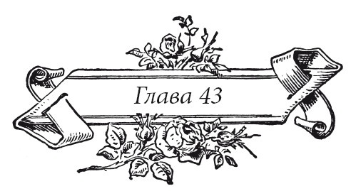 Иллюстрация к книге — Венецианский контракт [i_055.jpg]