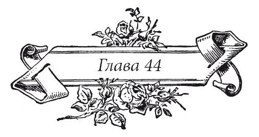 Иллюстрация к книге — Венецианский контракт [i_056.jpg]