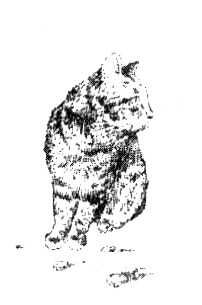 Иллюстрация к книге — Зоопарк в моей квартире [i_003.jpg]