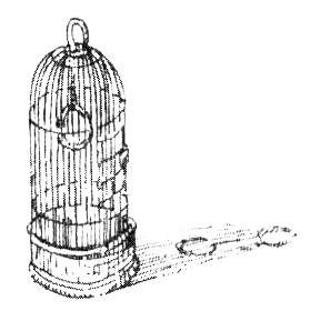 Иллюстрация к книге — Зоопарк в моей квартире [i_004.jpg]