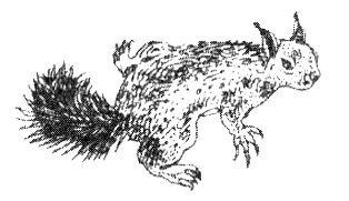 Иллюстрация к книге — Зоопарк в моей квартире [i_005.jpg]