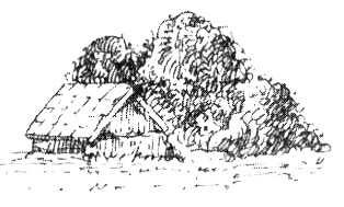 Иллюстрация к книге — Зоопарк в моей квартире [i_011.jpg]