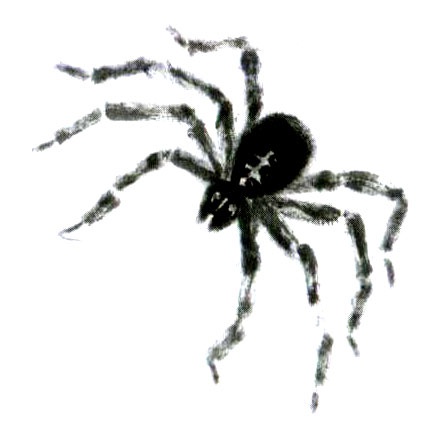 Иллюстрация к книге — Кот-убийца и Рождество [i_022.jpg]