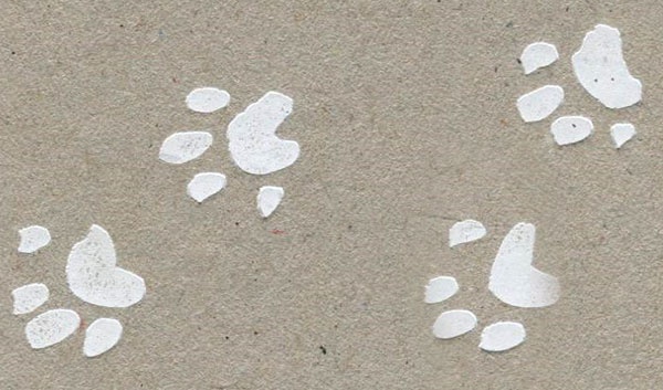 Иллюстрация к книге — Кот-убийца и Рождество [i_048.jpg]