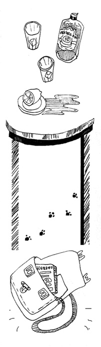 Иллюстрация к книге — Пучеглазый [i_017.jpg]