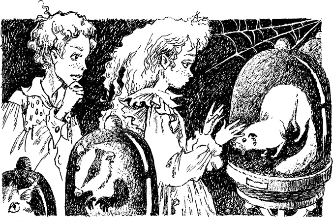 Иллюстрация к книге — Волшебное наследство. Миры Крестоманси. Книга седьмая [i_002.jpg]